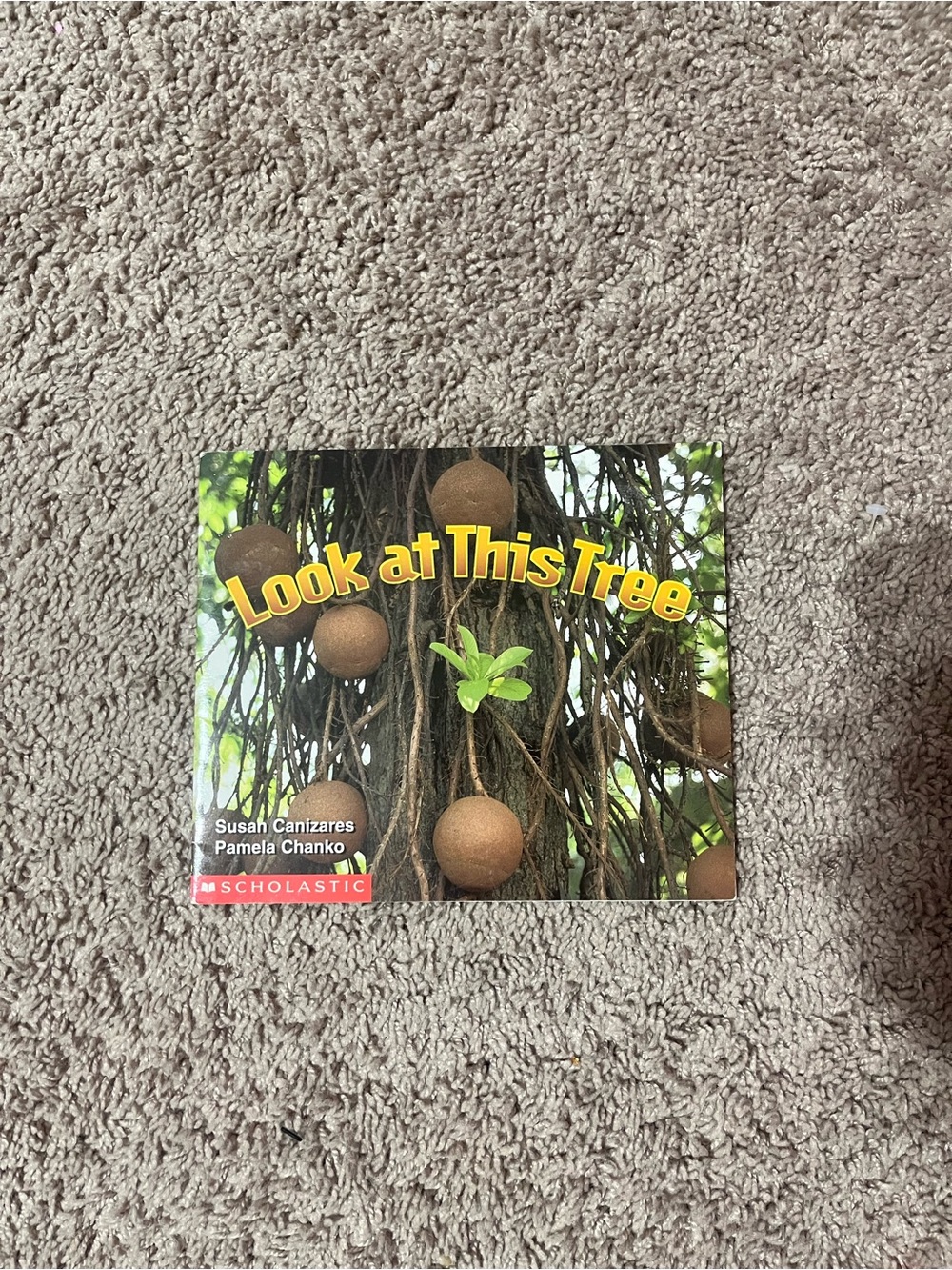 Scholastic 'Look at This Tree' — Green and Brown Accented Cover